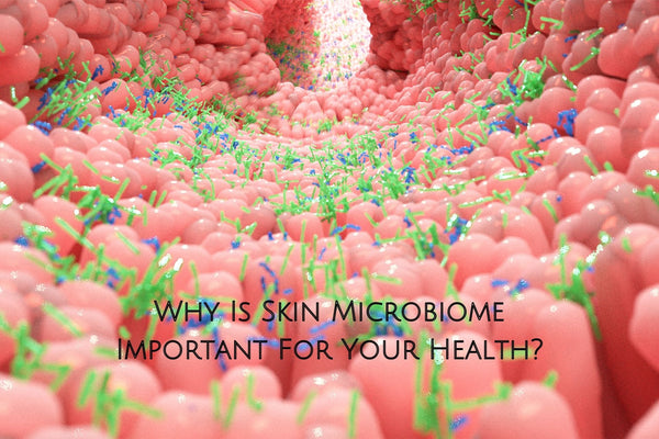 Why Is Skin Microbiome Important For Your Health?