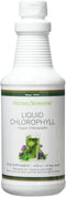 Liquid Chlorophyll with Natural Spearmint oil (476 ml)